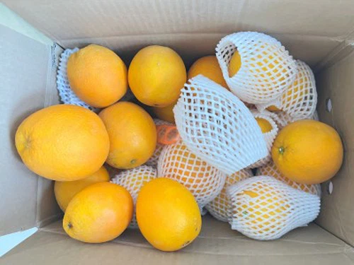 Benefici per i dipendenti